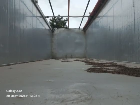 ����������� Stas | Mobile.bg � ����� ������ 7