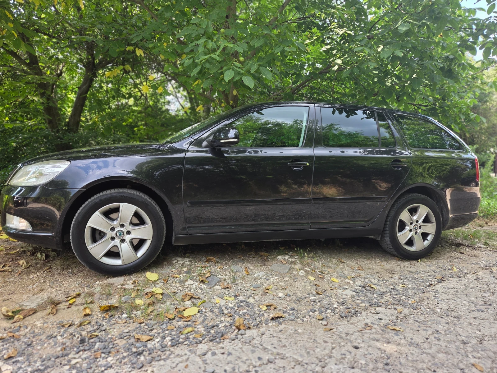 Skoda Octavia, снимка 6 - Автомобили и джипове - 56450745