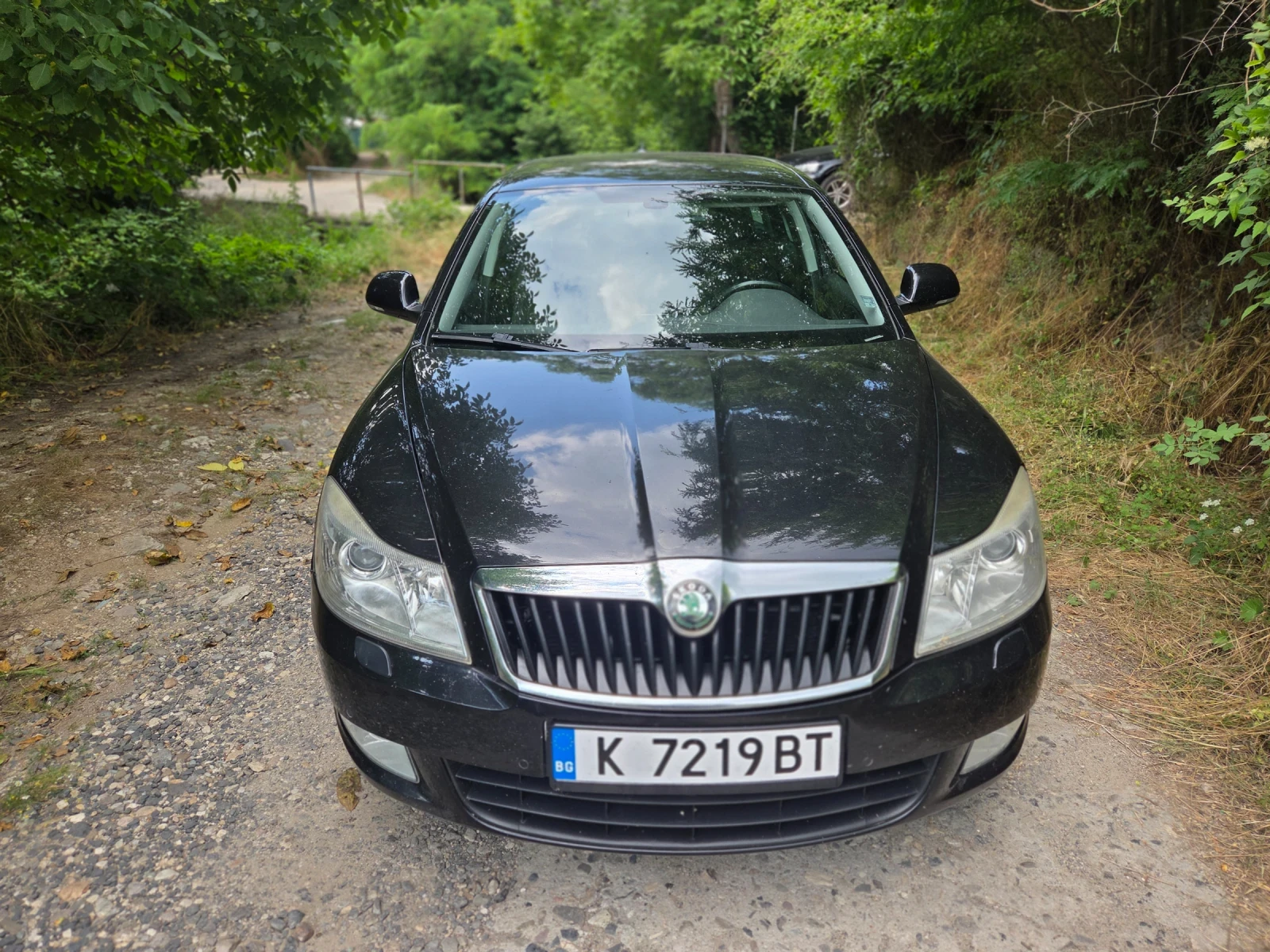Skoda Octavia, снимка 14 - Автомобили и джипове - 56450745