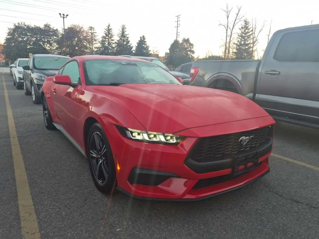 Ford Mustang, снимка 2 - Автомобили и джипове - 56687720
