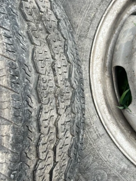 ���� � ������ 195/75R16 | Mobile.bg � ����� ������ 2