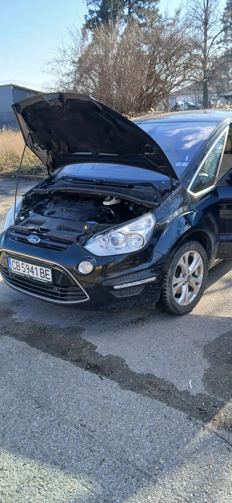 Ford S-Max, снимка 2 - Автомобили и джипове - 48612642