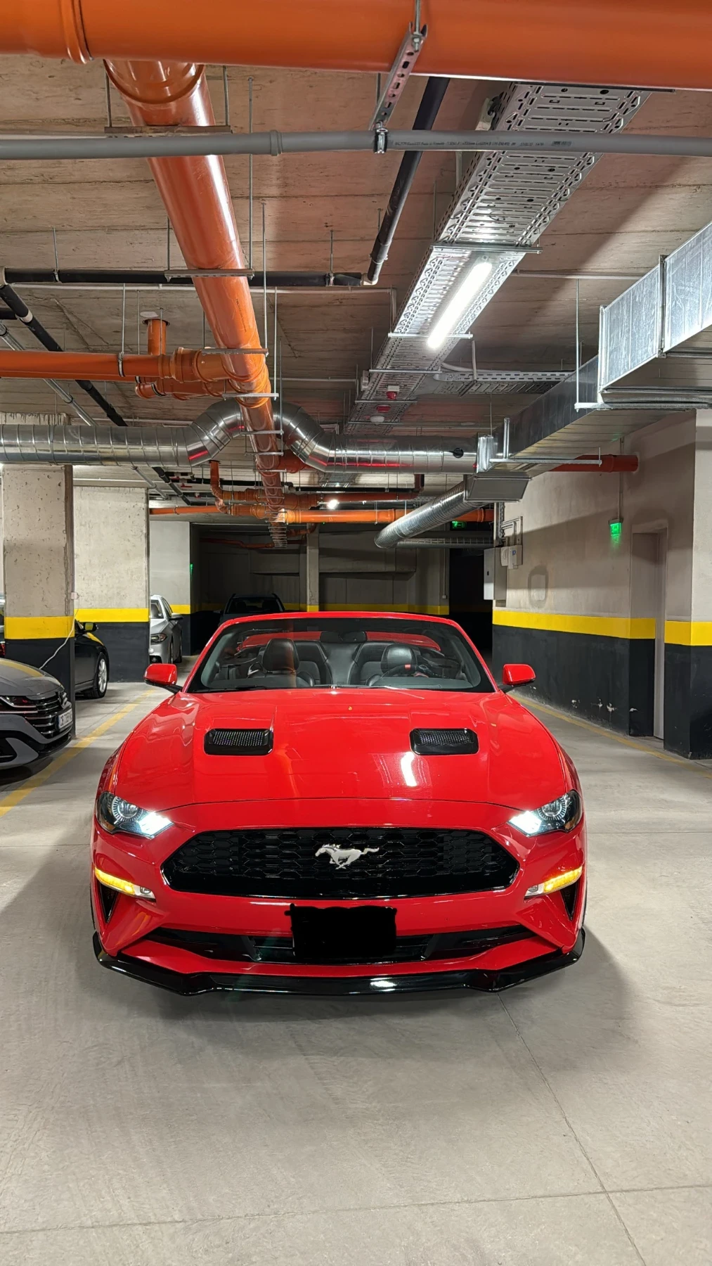 Ford Mustang  - изображение 2