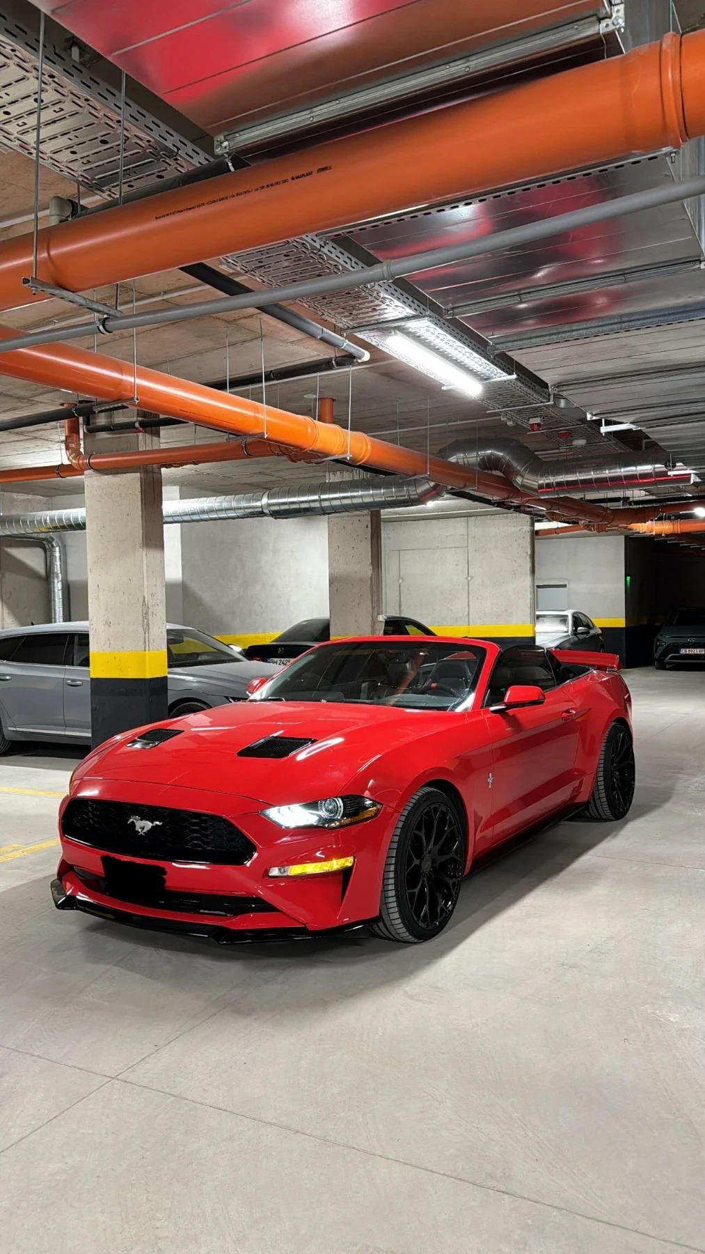 Ford Mustang  - изображение 3