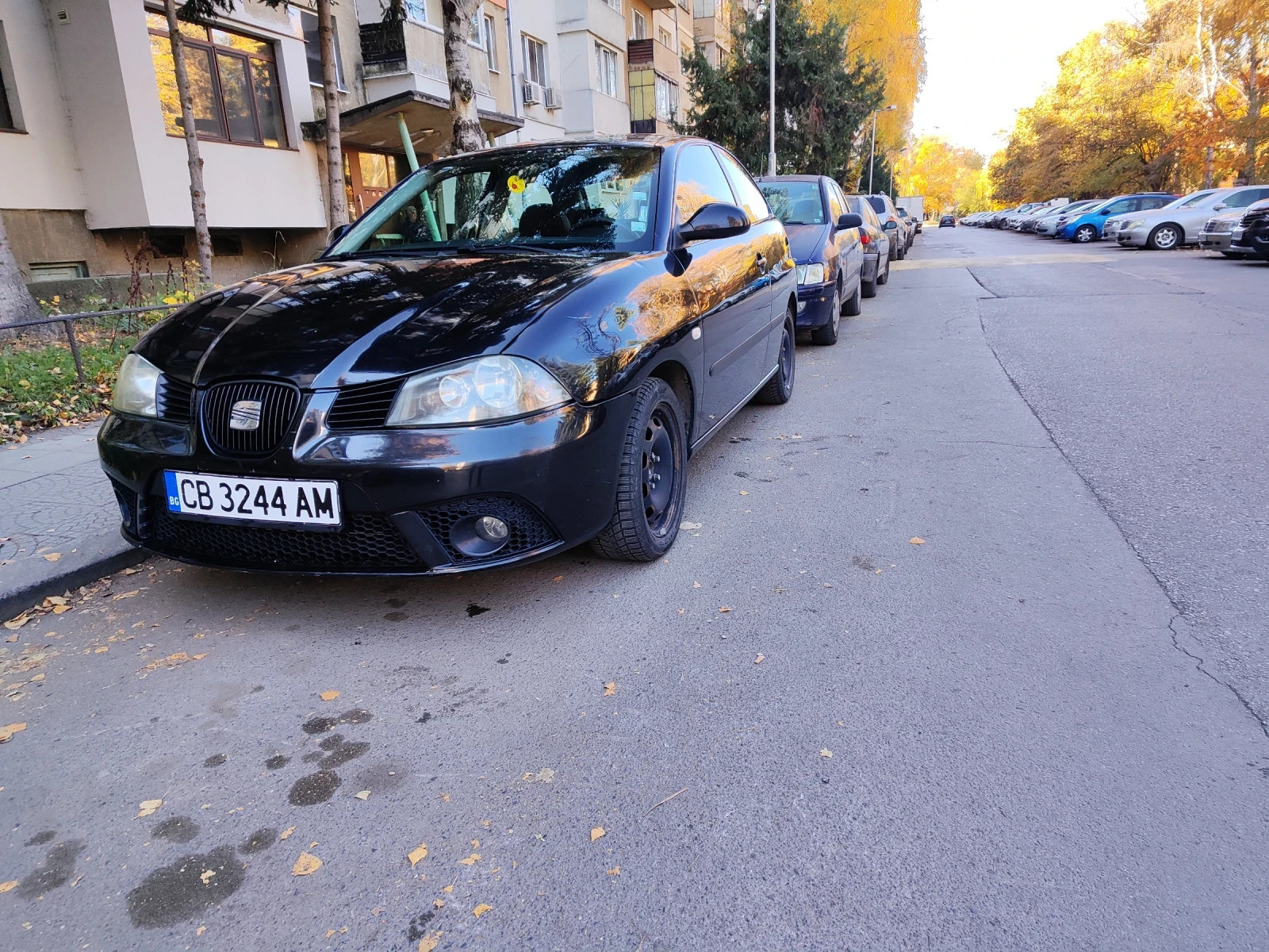Seat Ibiza