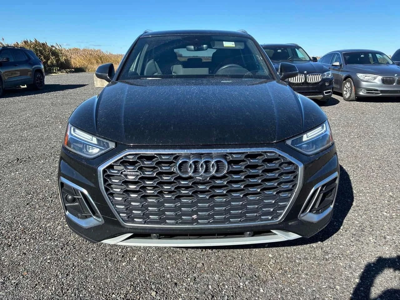 Audi Q5, снимка 6 - Автомобили и джипове - 56690161