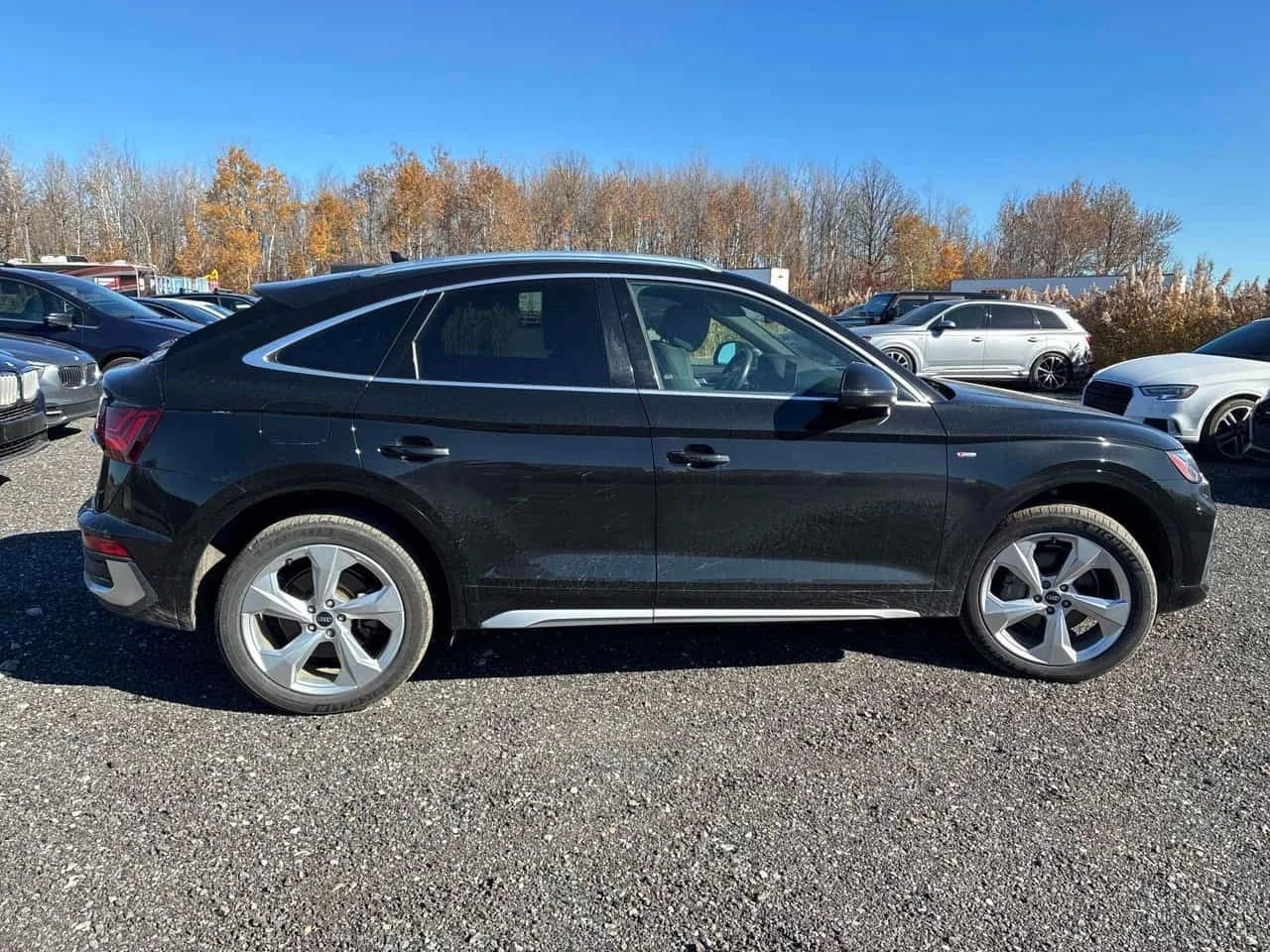 Audi Q5, снимка 3 - Автомобили и джипове - 56690161