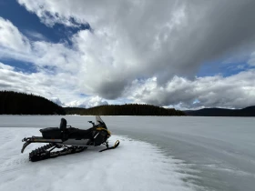 Ski-Doo Summit Summit, снимка 4