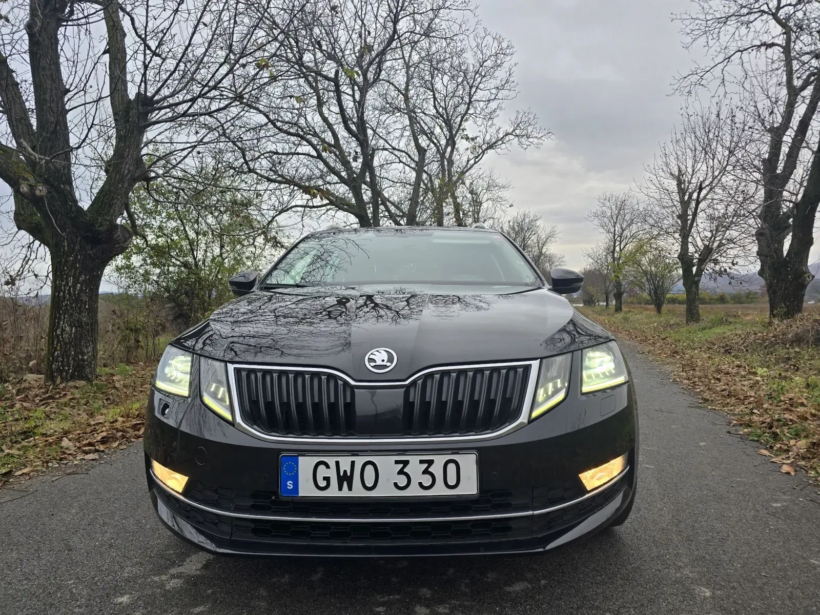 Skoda Octavia 1.5g-tec metan - изображение 2