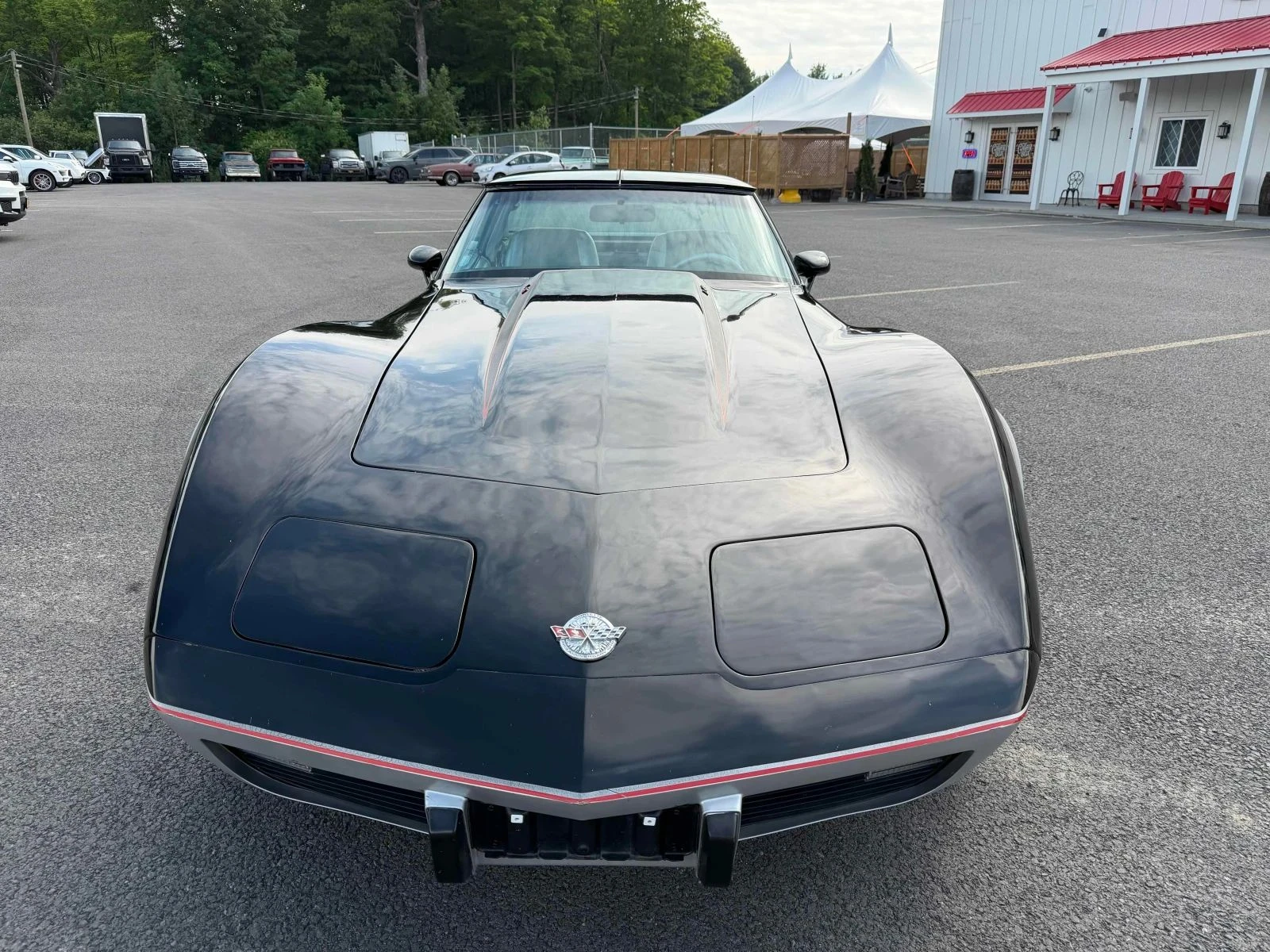 Chevrolet Corvette, снимка 5 - Автомобили и джипове - 56684703