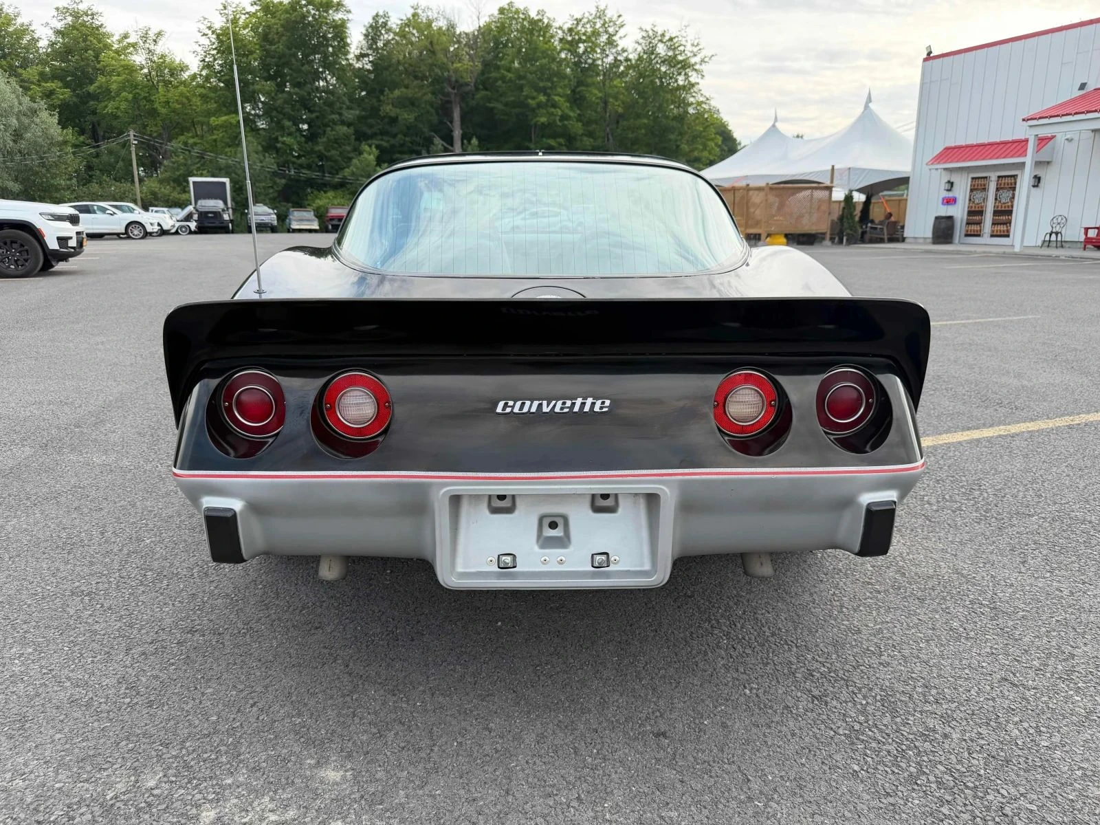 Chevrolet Corvette, снимка 4 - Автомобили и джипове - 56684703