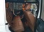 Обява за продажба на Jeep Wrangler 3.6i SAHARA UNLIMITED  ~49 900 лв. - изображение 9