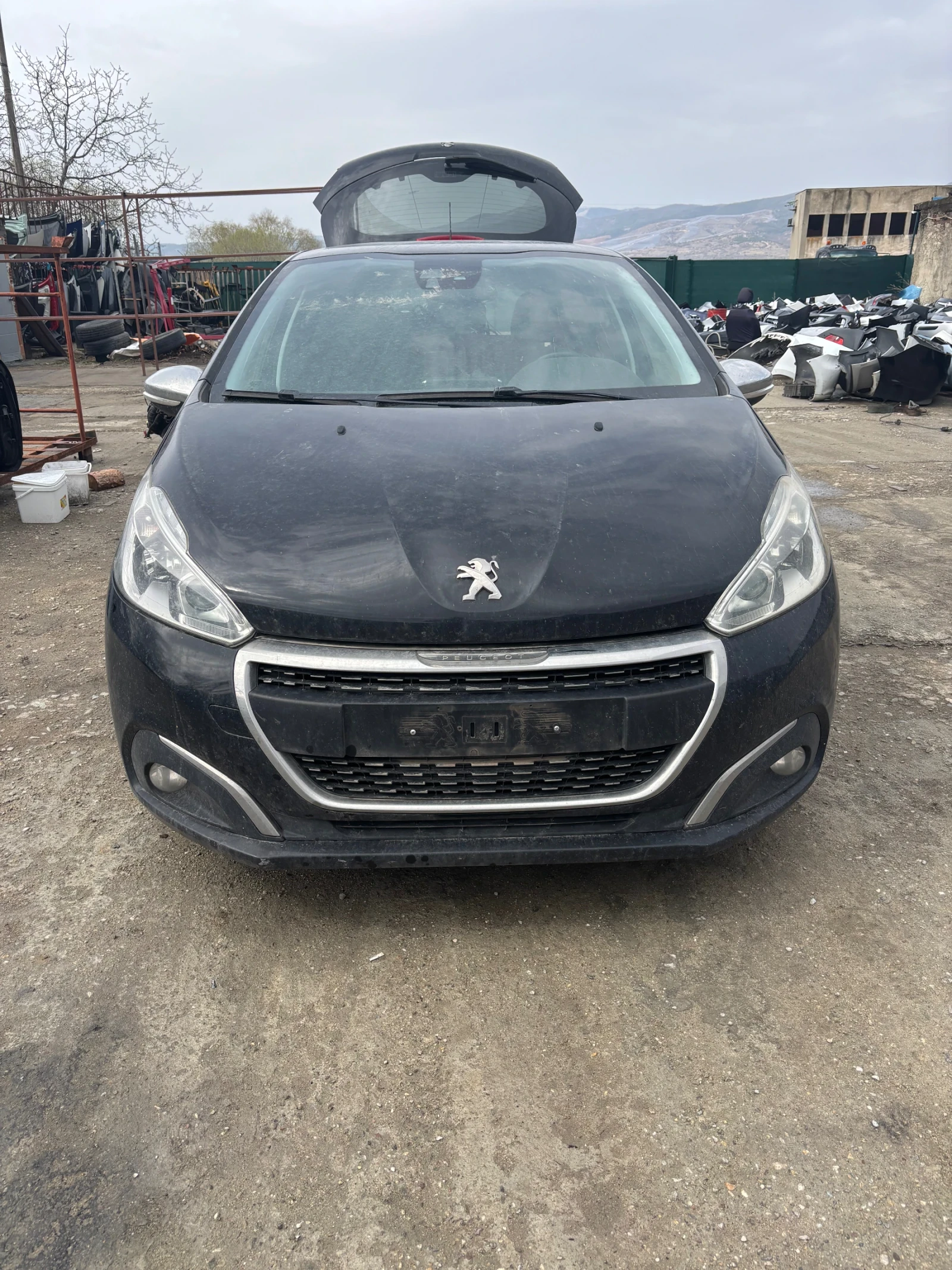 Peugeot 208 YH01, снимка 1