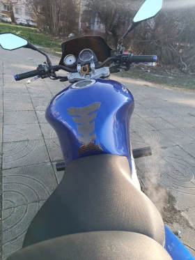 Suzuki SV, снимка 5