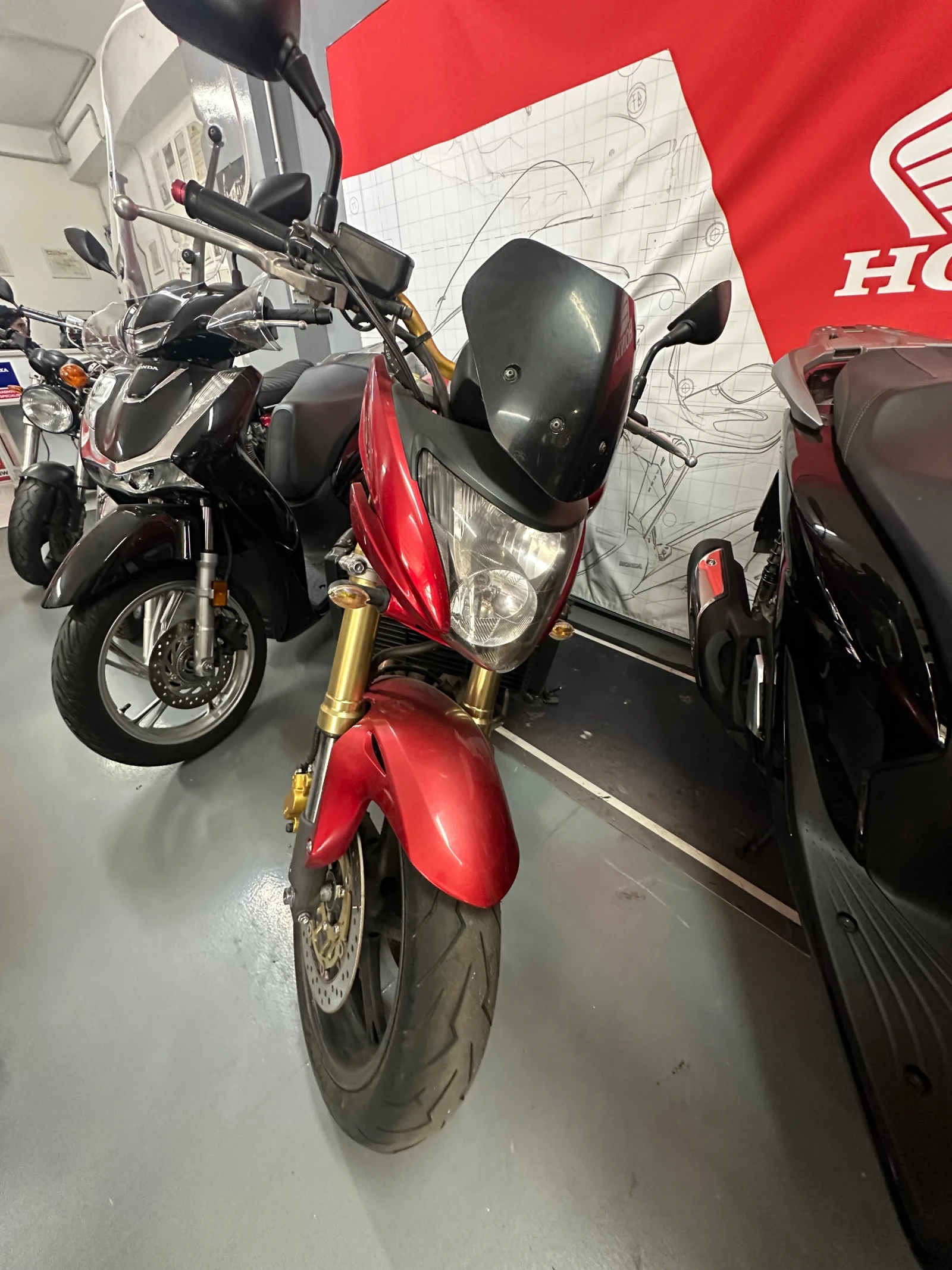 Honda Hornet CB 600 - изображение 6