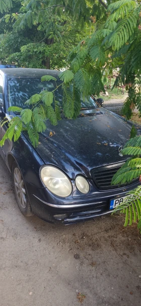 ����� �� �������� �� Mercedes-Benz E 270