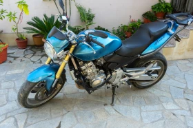  Honda Hornet