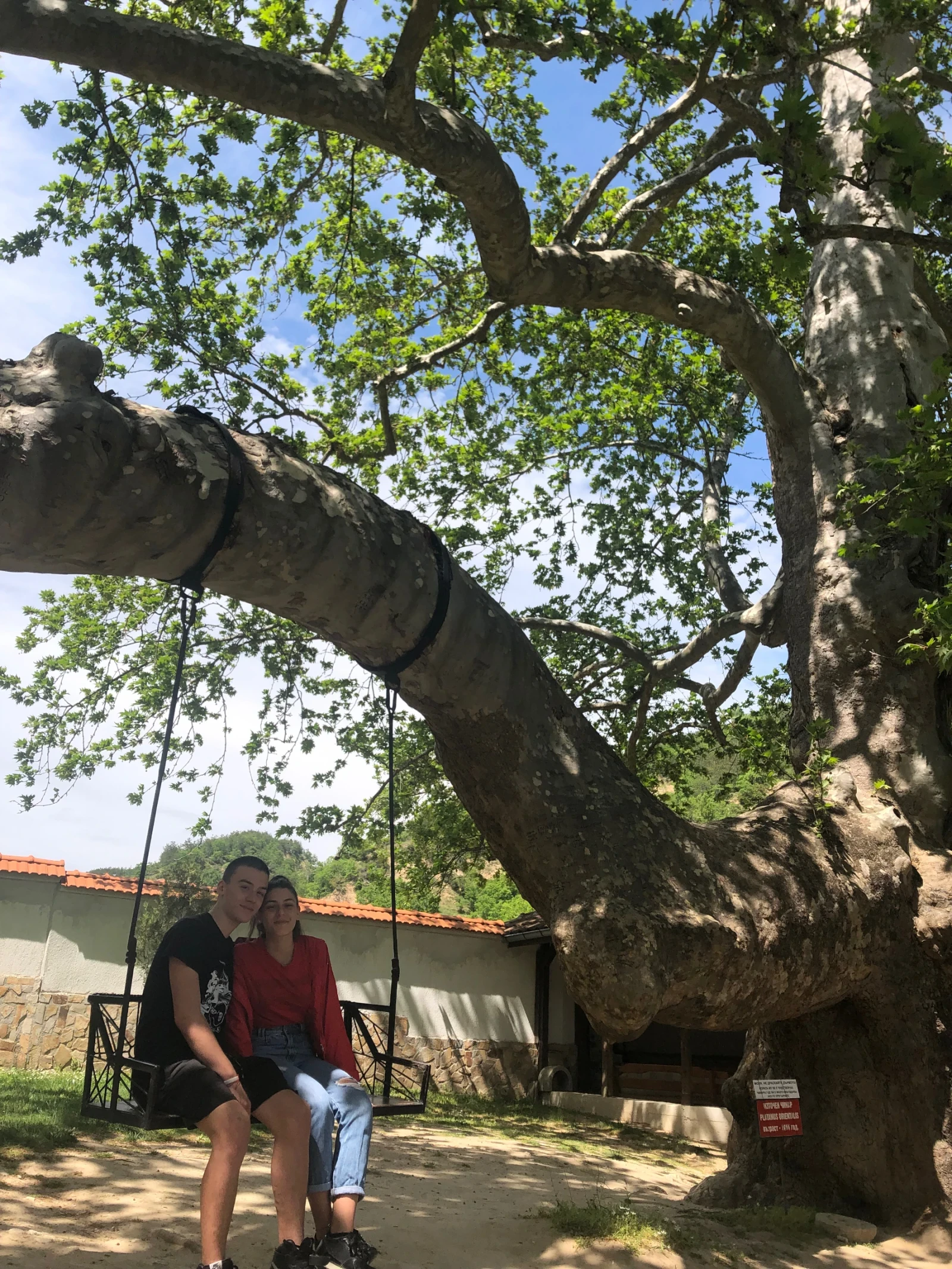 Aprilia Sr 50, снимка 3 - Мотоциклети и мототехника - 53892306