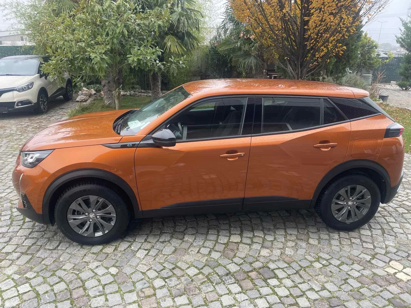 Peugeot 2008 EV - изображение 6