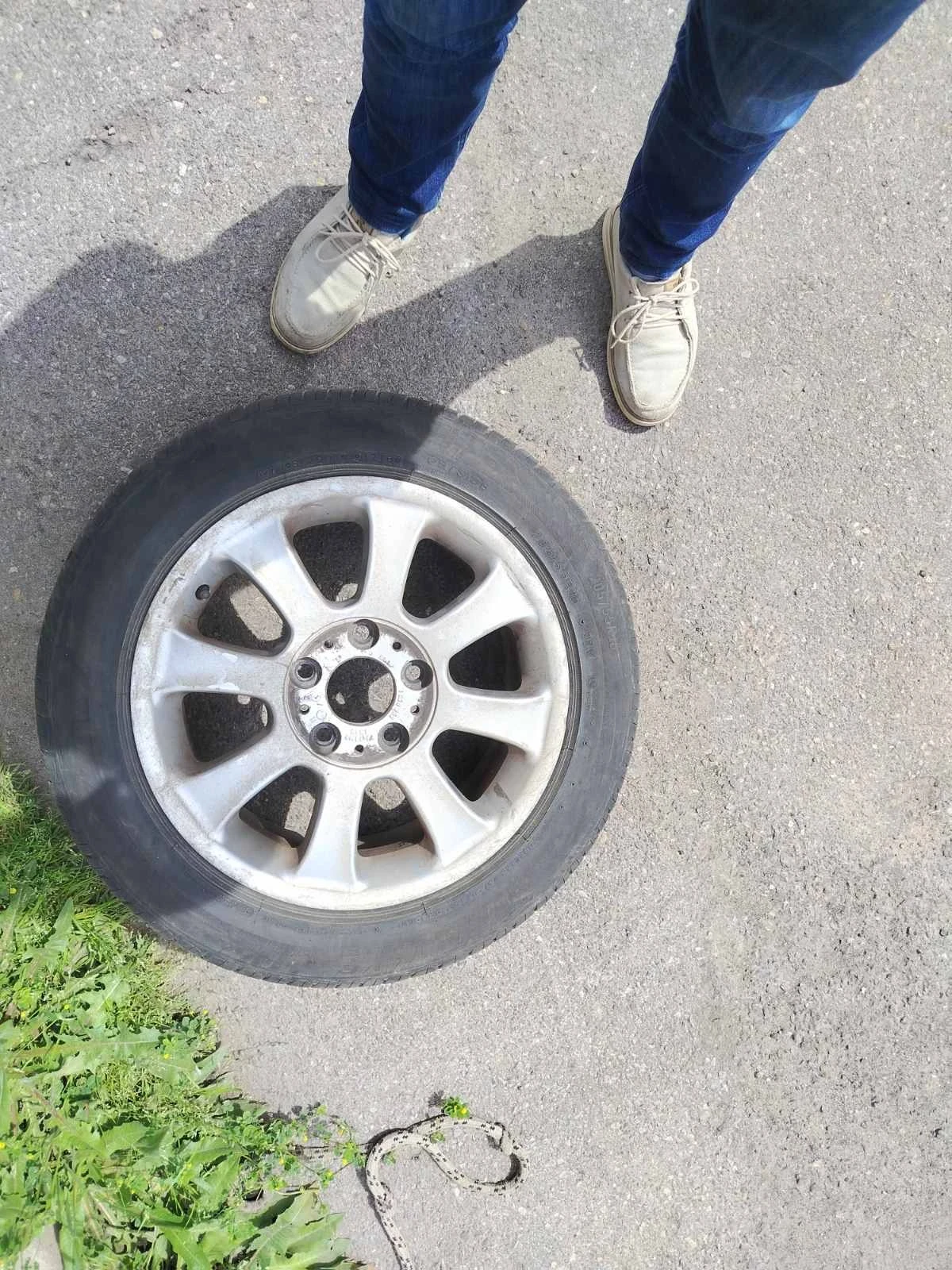 Гуми с джанти Lassa 205/55R16, снимка 2 - Гуми и джанти - 54654288