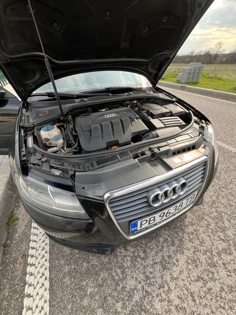 Audi A3, снимка 12 - Автомобили и джипове - 44779717