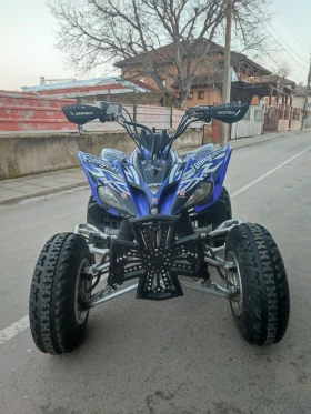 Yamaha Raptor YFM 250R - изображение 1