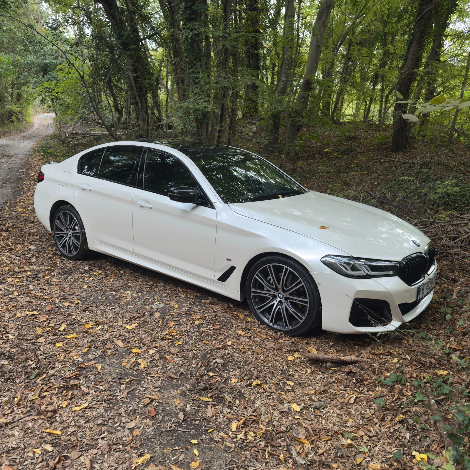 BMW 540 M-����� | 1-�� ���������� | �������� ������ | Mobile.bg � ����������� 13
