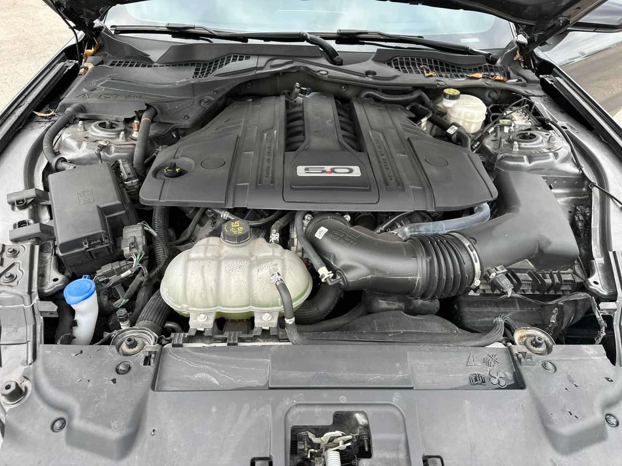 Ford Mustang GT  CARFAX, снимка 11 - Автомобили и джипове - 54315524