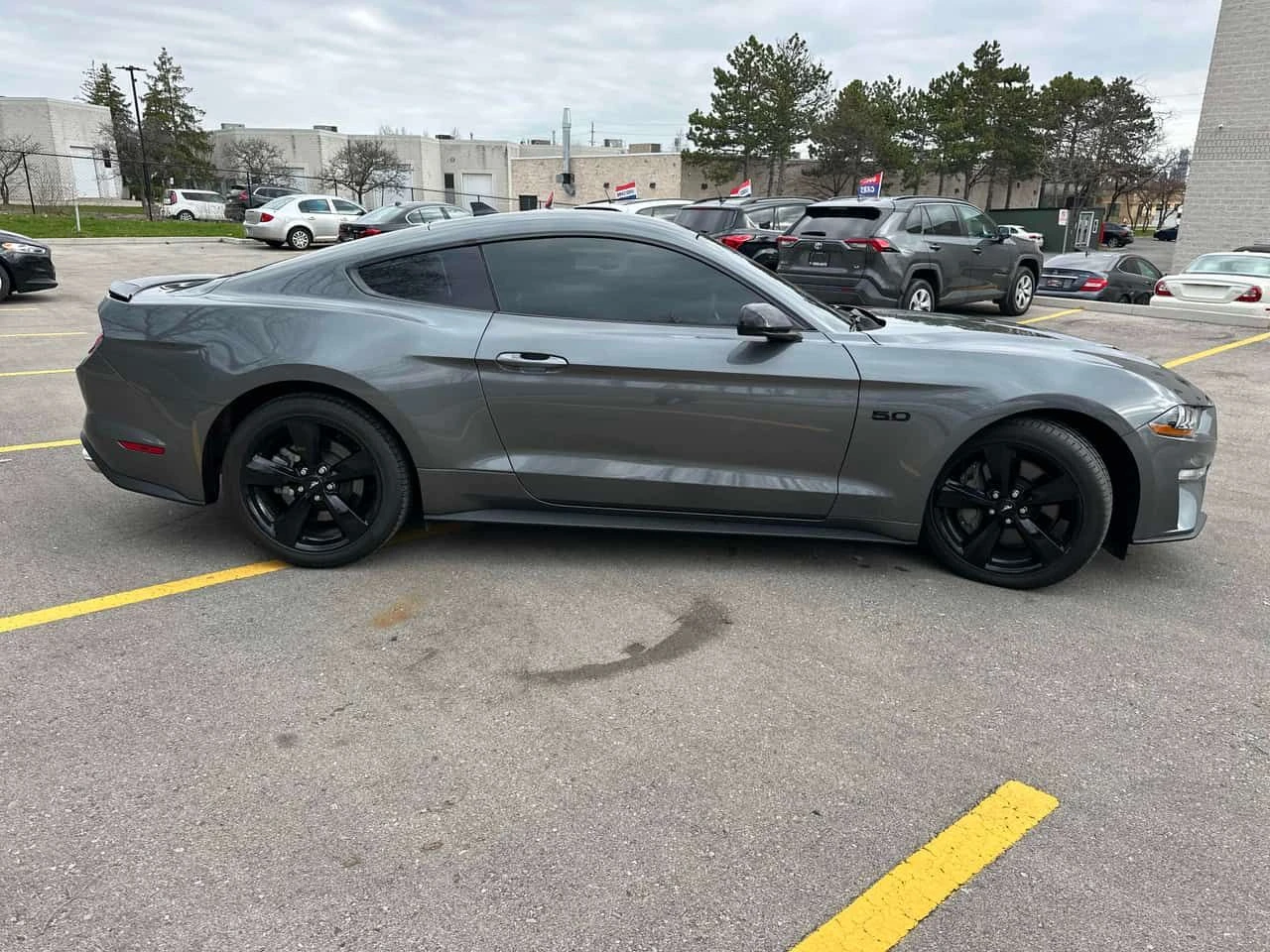 Ford Mustang GT  CARFAX, снимка 3 - Автомобили и джипове - 54315524