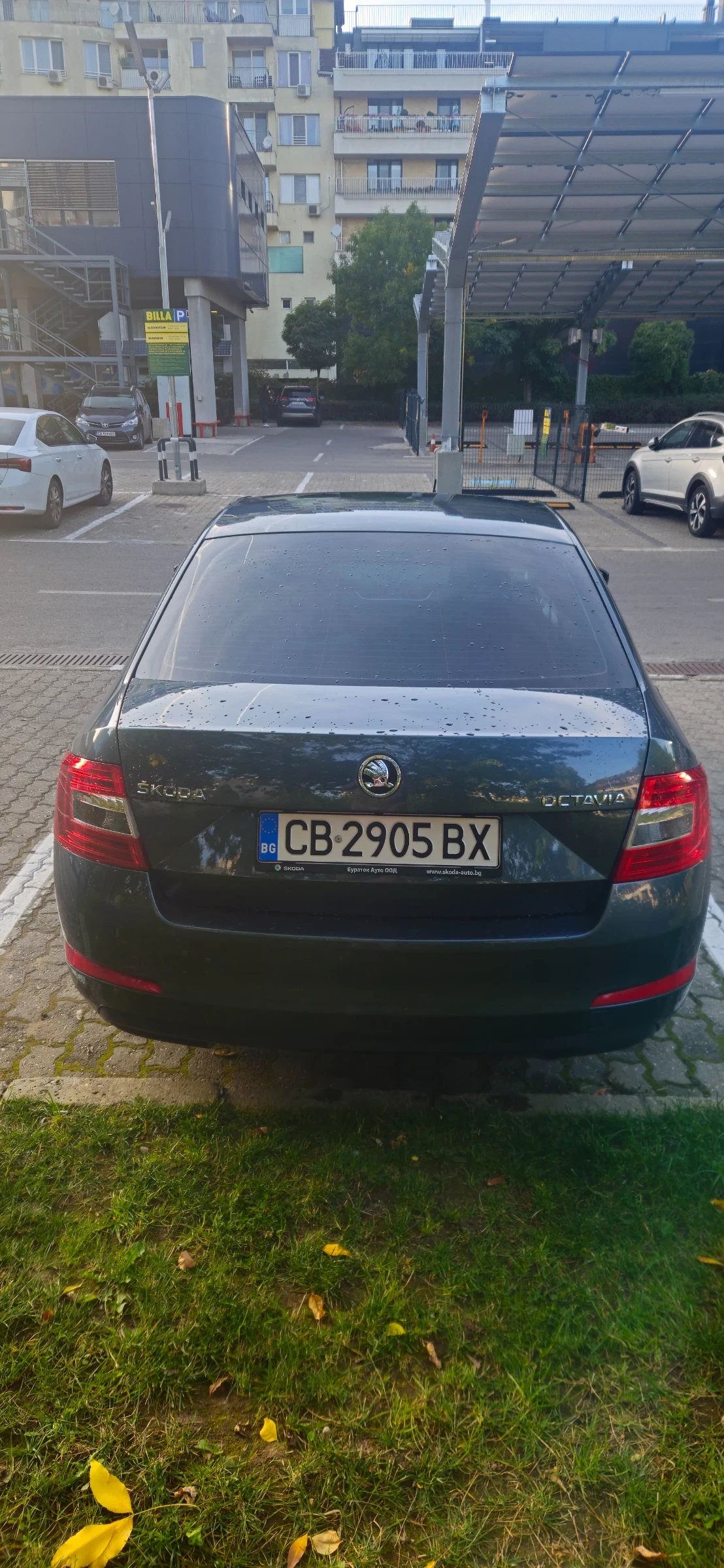 Skoda Octavia   2.0tdi 6 dsg  ������ 65000 ��  | Mobile.bg � ����������� 4