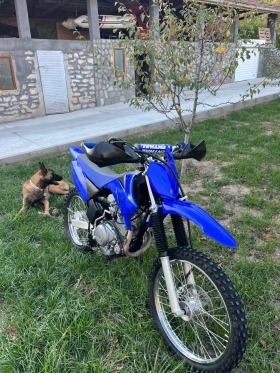 Yamaha Ttr | Mobile.bg � ����� ������ 14