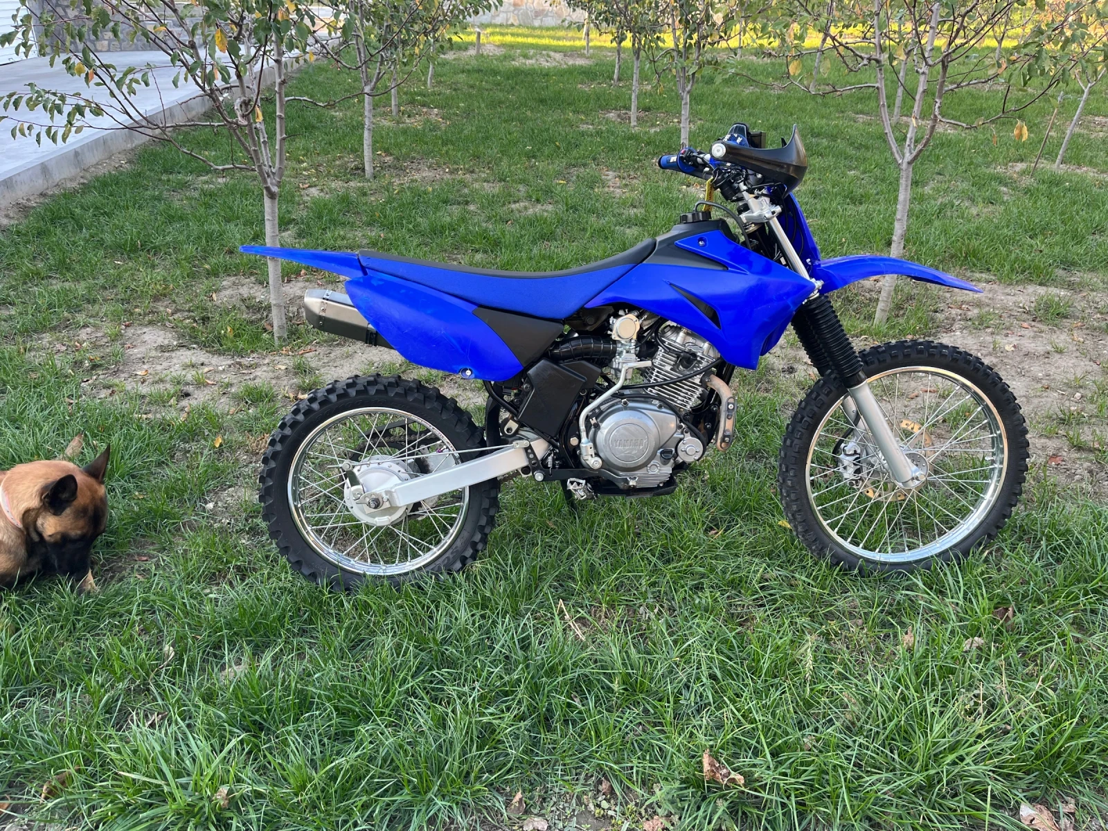 Yamaha Ttr, снимка 13 - Мотоциклети и мототехника - 56606121