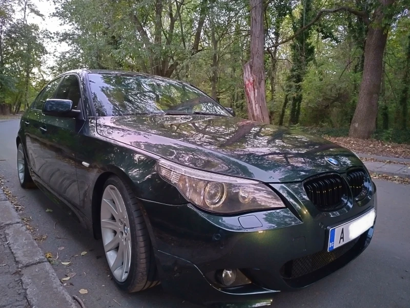 BMW 530, снимка 6 - Автомобили и джипове - 47441305