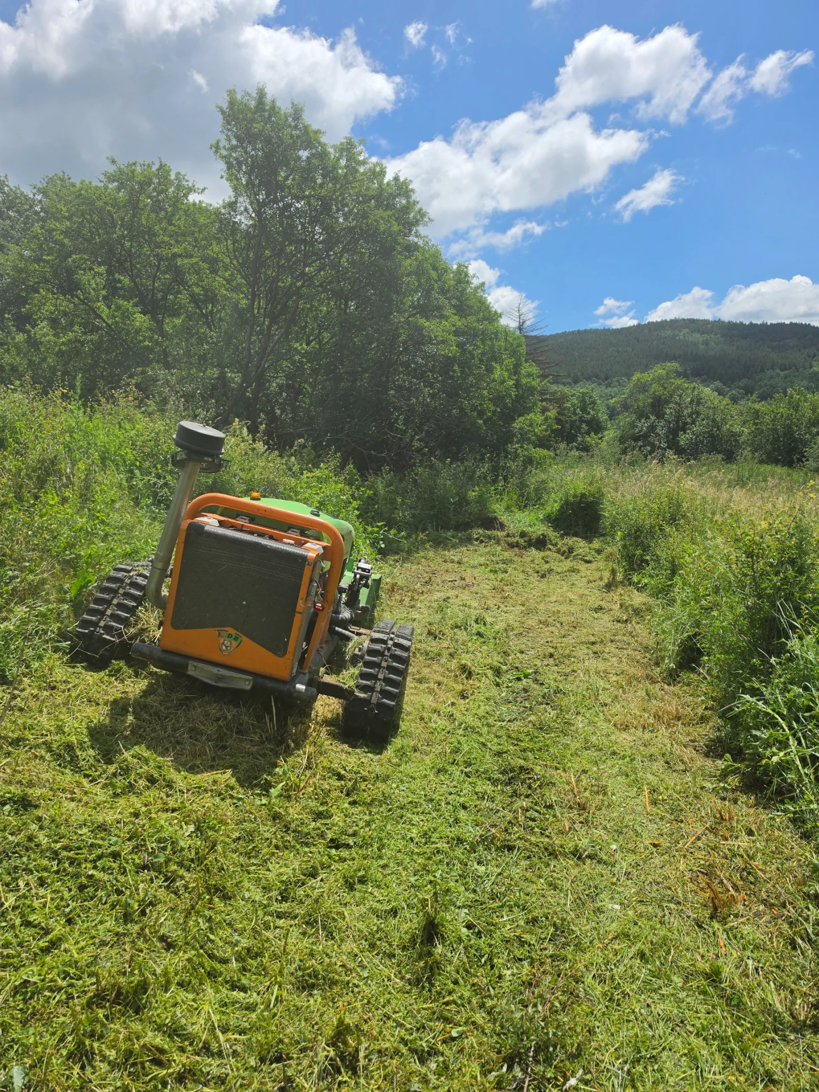 ������ Green climber | Mobile.bg � ����������� 12