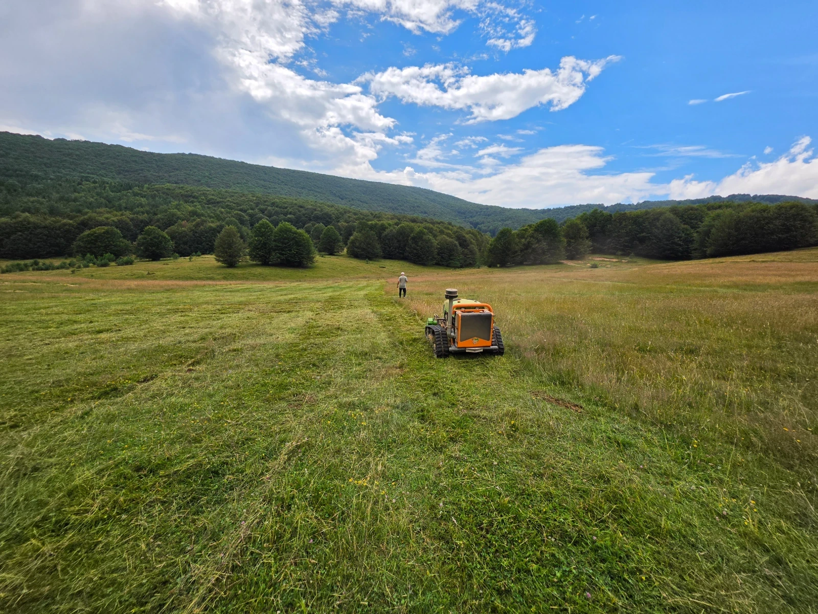 ������ Green climber | Mobile.bg � ����������� 15