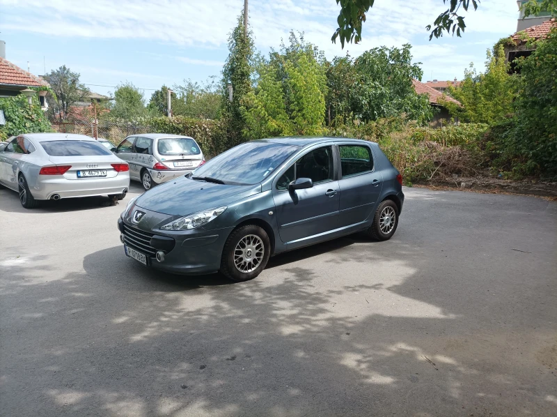 Peugeot 307 HDI, снимка 14 - Автомобили и джипове - 46967000