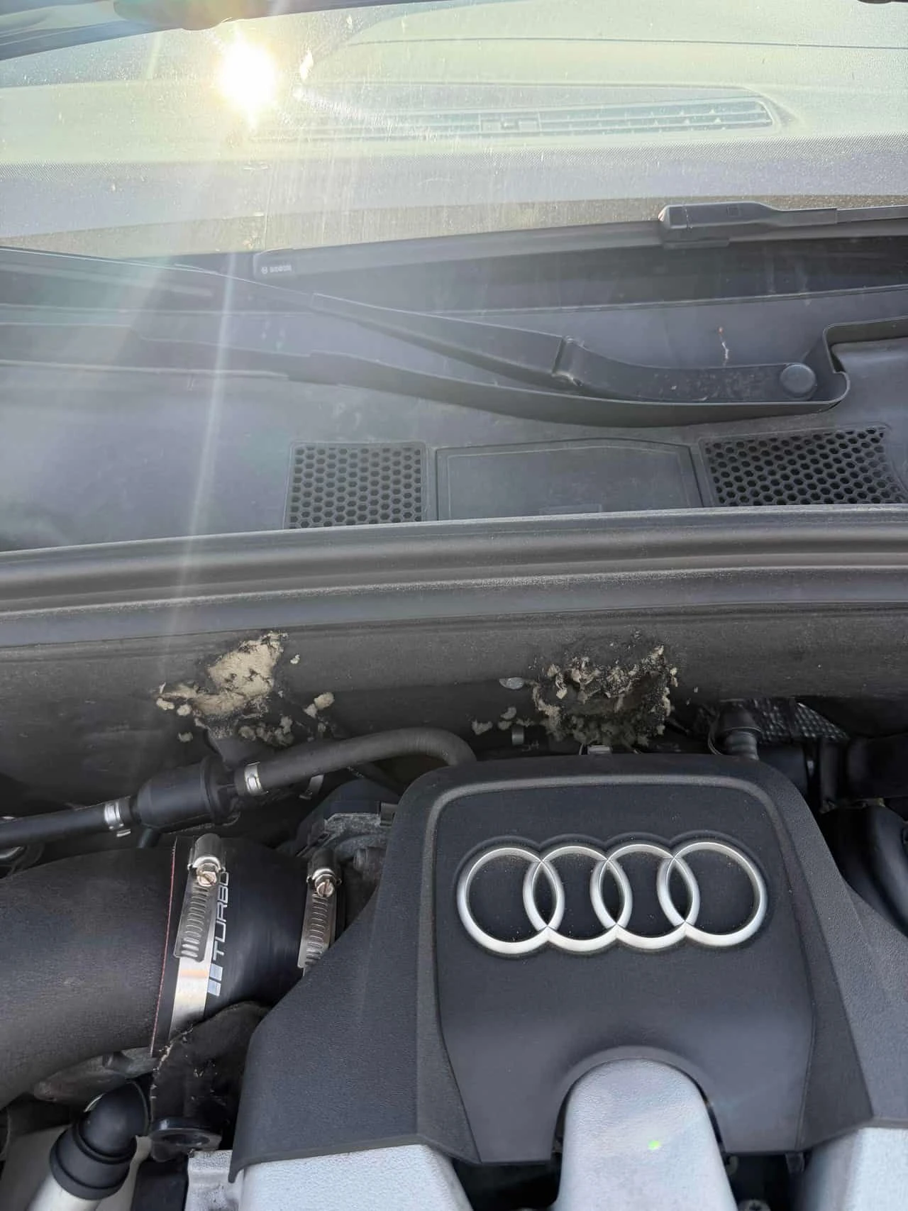 Audi S5 * Technik * ГЕНЕРАЦИЯ * ОТ ПРЕДСТАВИТЕЛСТВО, снимка 13 - Автомобили и джипове - 54827092