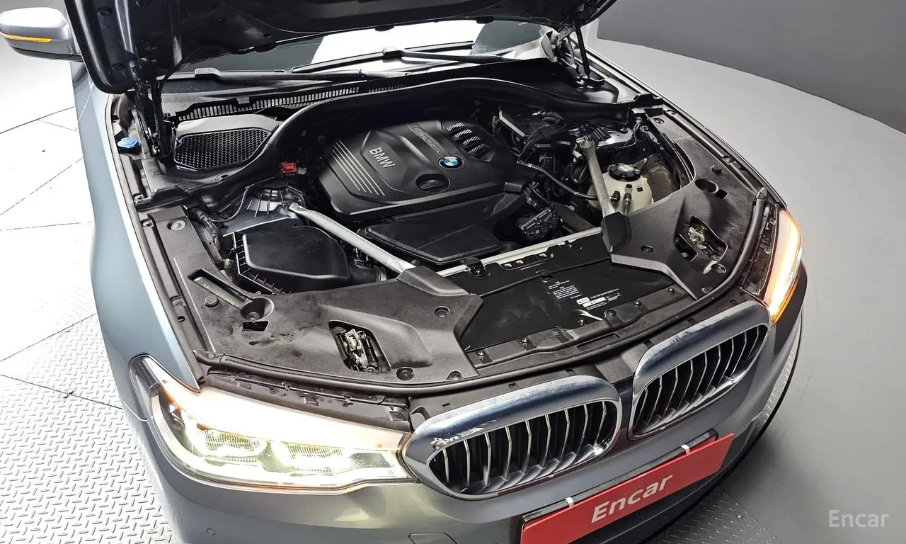 BMW 520 * 520d Luxury Special Edition * ЦЕНА ДО БГ, снимка 17 - Автомобили и джипове - 56129582