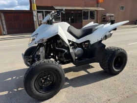 Cfmoto 300NK GOEST, снимка 2