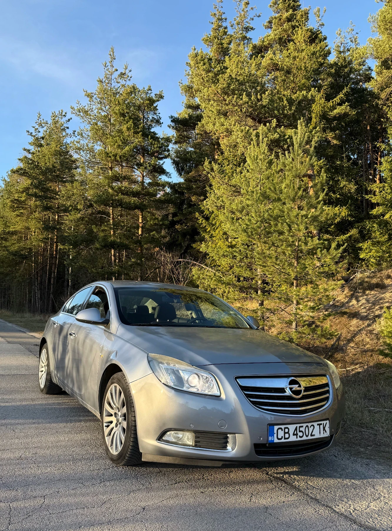 Opel Insignia 2.0i TURBO ВЕРИГА, снимка 1