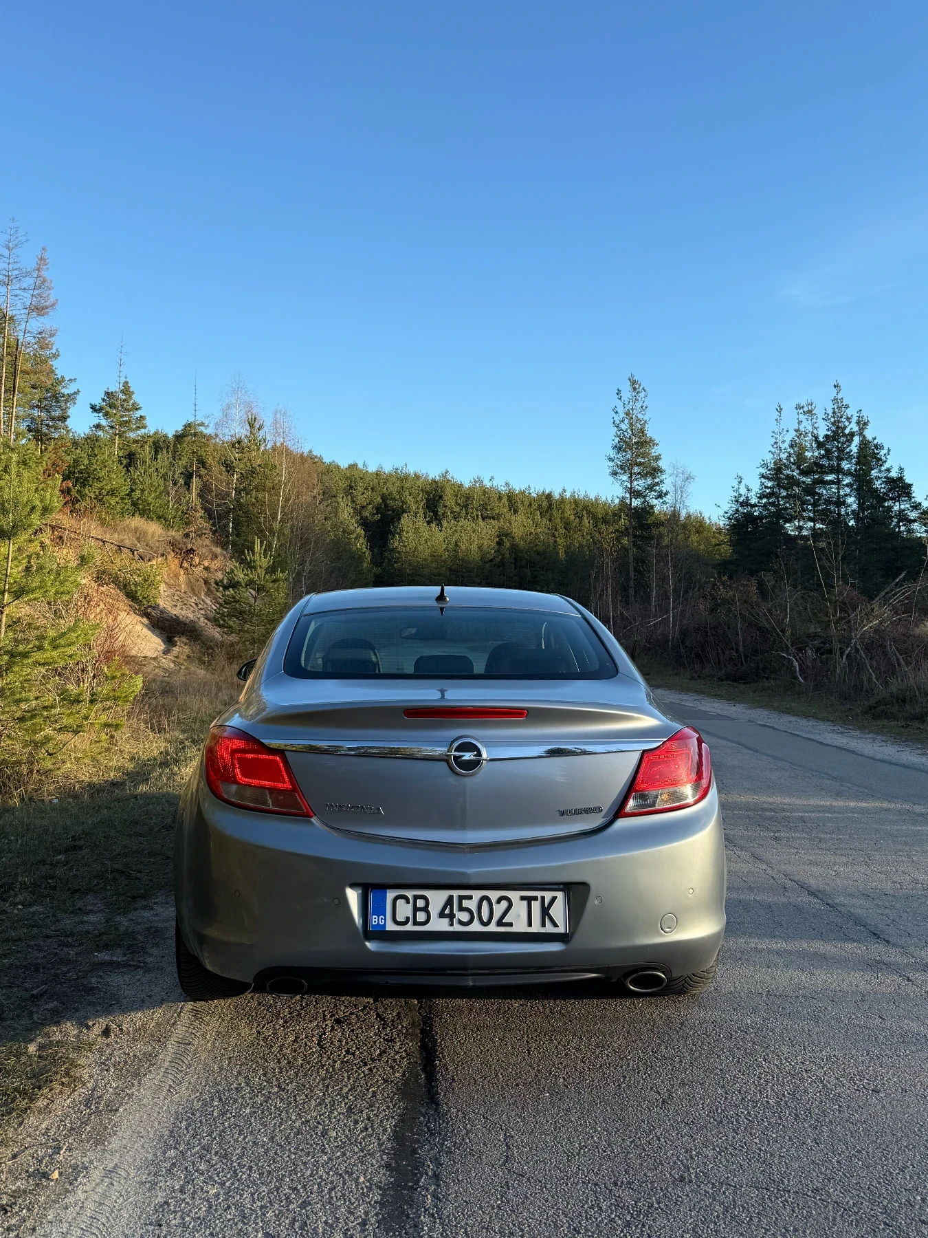 Opel Insignia 2.0i TURBO ВЕРИГА - изображение 4