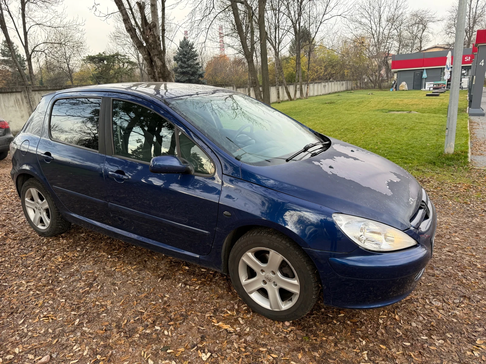 Peugeot 307 2.0 HDI 90 к.с.  - изображение 4