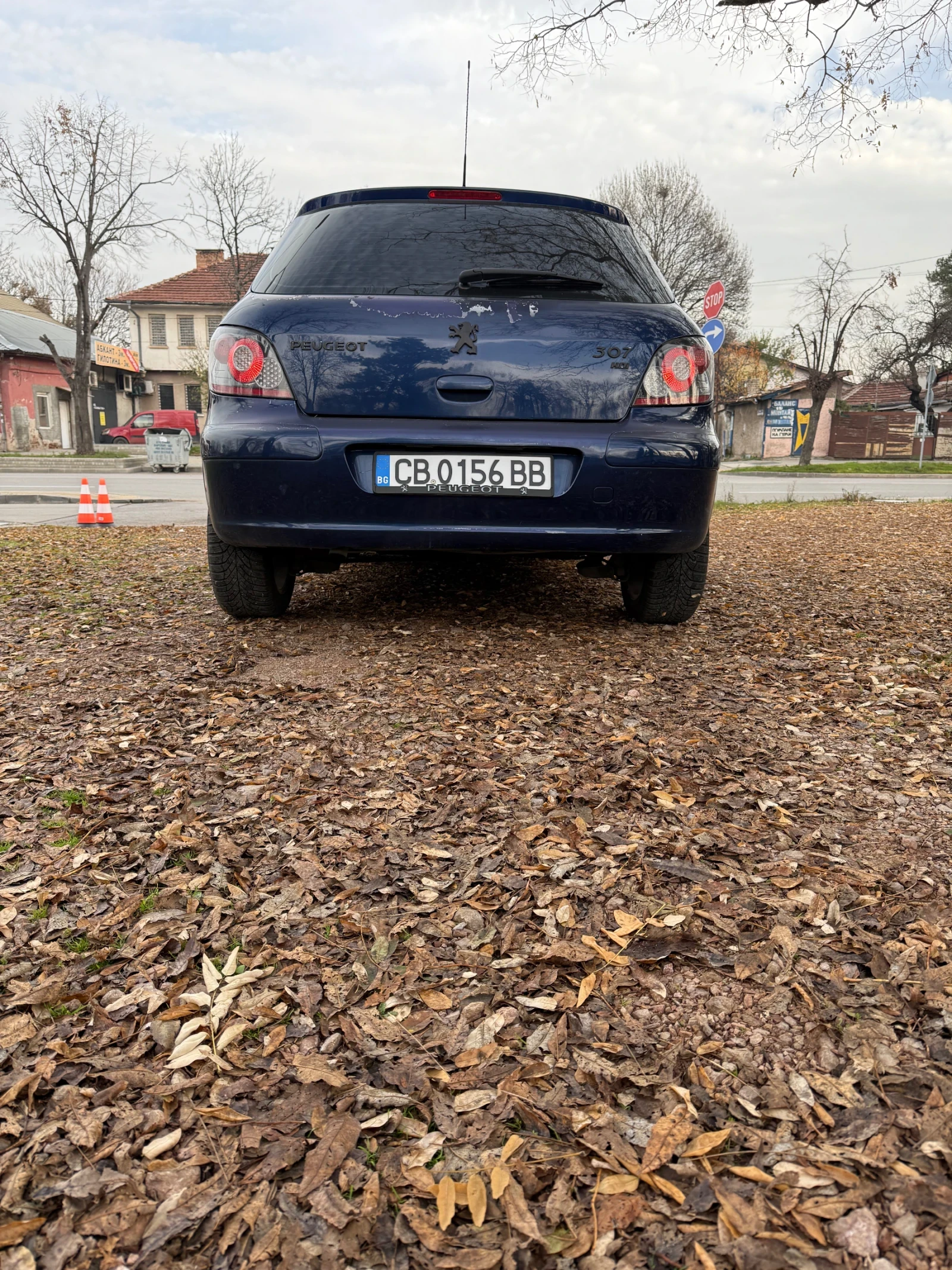 Peugeot 307 2.0 HDI 90 к.с.  - изображение 3