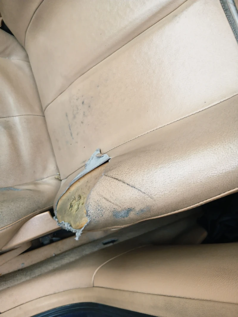 Skoda Octavia, снимка 7 - Автомобили и джипове - 52890963