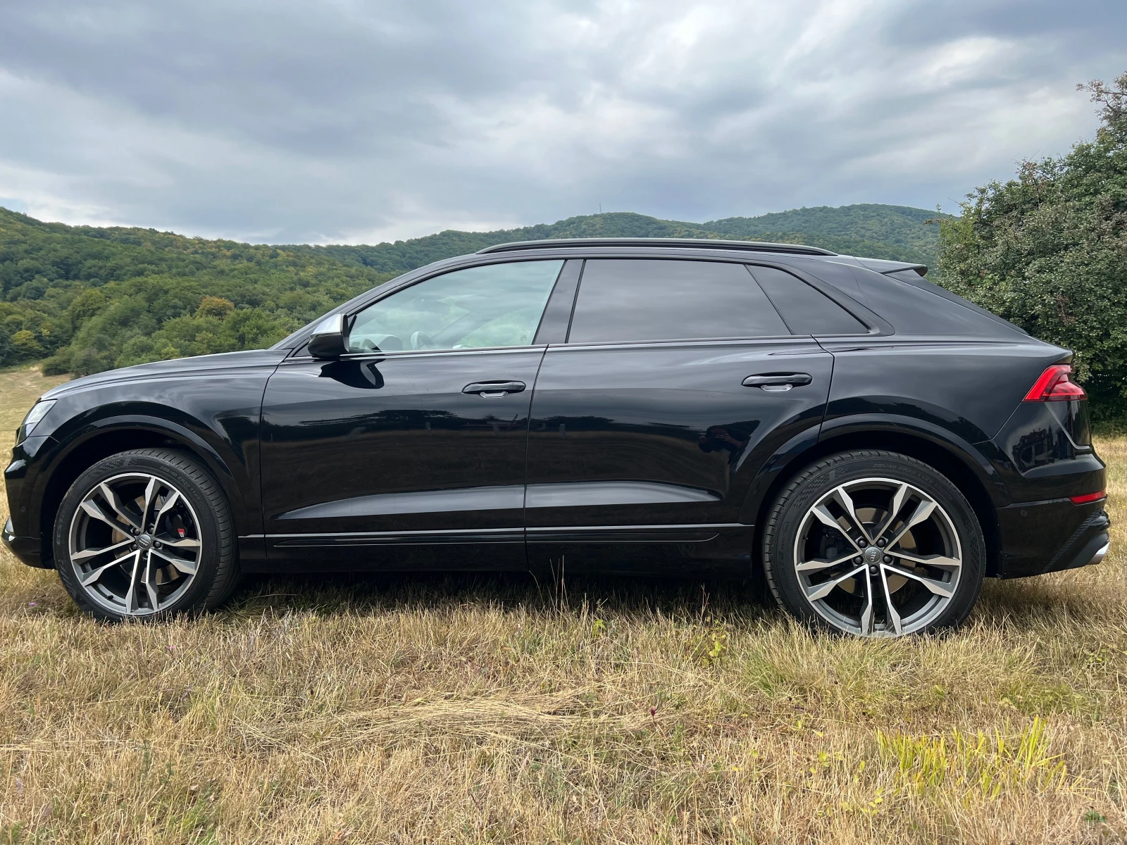 Audi SQ8  - изображение 7