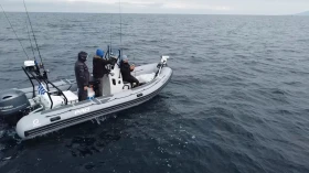Надуваема лодка Zodiac Pro 6.5, снимка 2