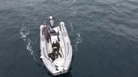 Надуваема лодка Zodiac Pro 6.5, снимка 15