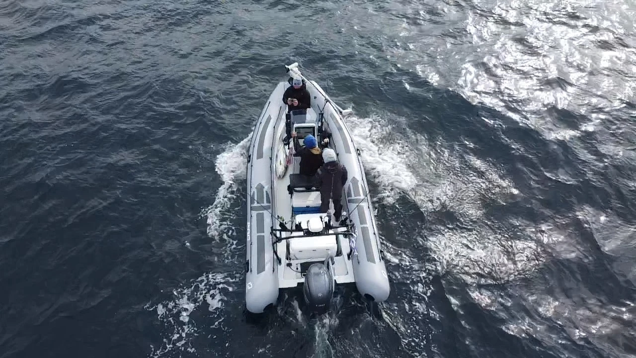   Zodiac Pro 6.5 | Mobile.bg   12