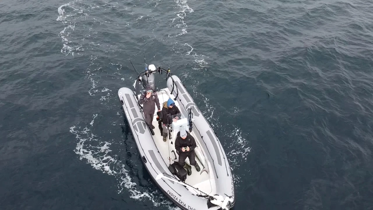   Zodiac Pro 6.5 | Mobile.bg   14