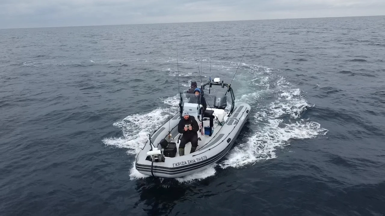   Zodiac Pro 6.5 | Mobile.bg   13